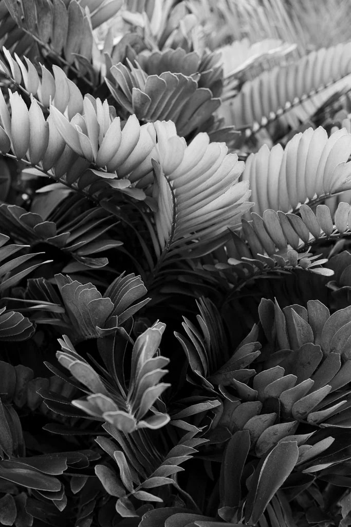 Laura Grace Photography Travel Fine Art