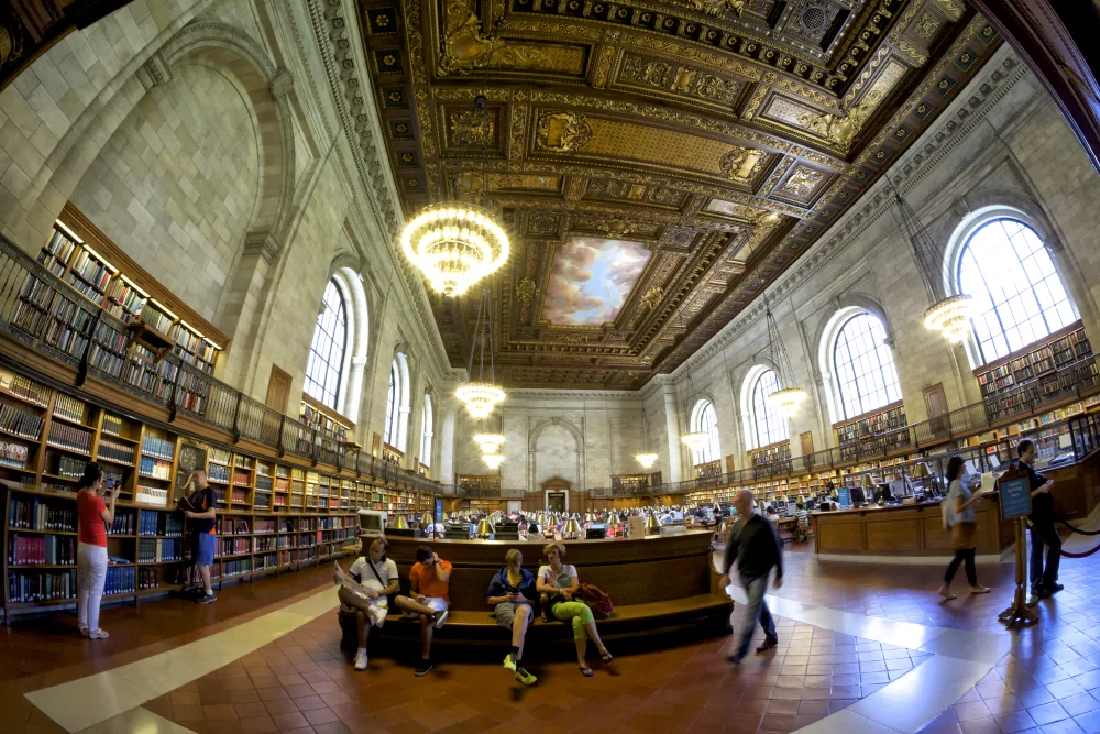Library Online Edit.jpg