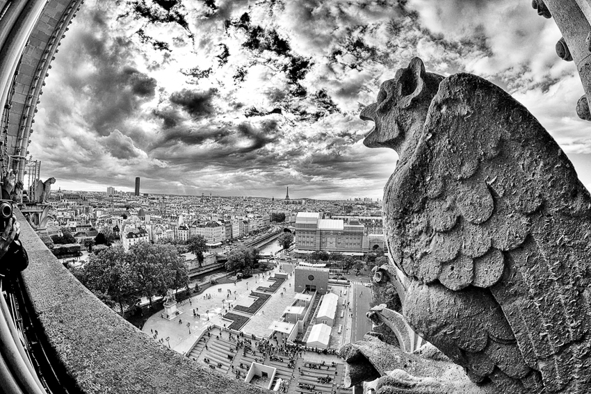  A gargoyle on Notre Dame breathes the clouds into being. 