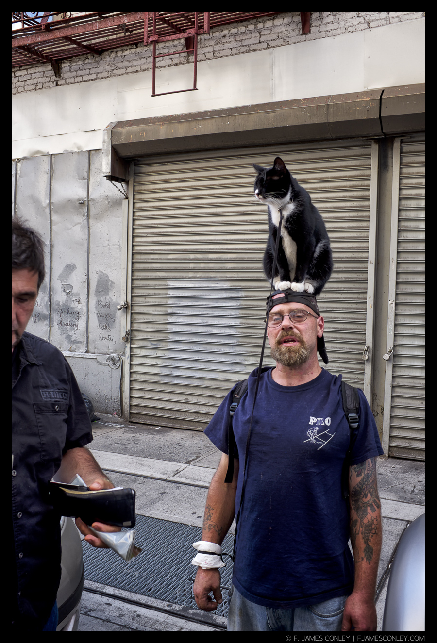 A New Yorker walks the streets with a cat on his head.