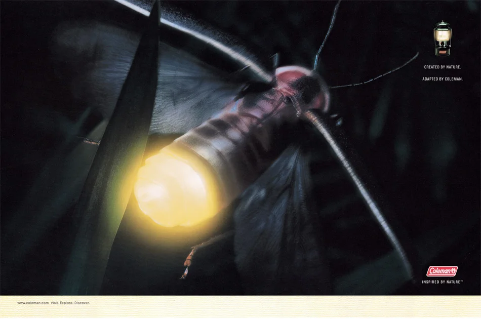 Firefly.jpg