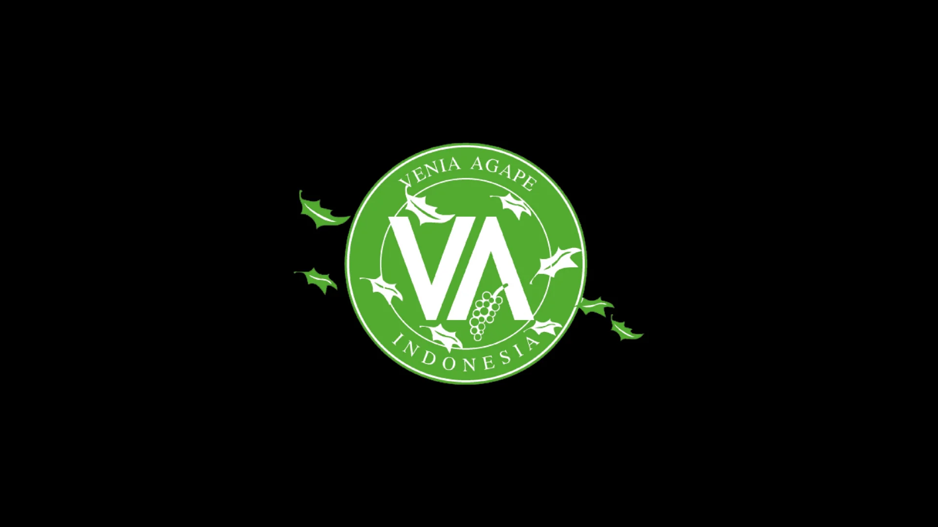 Logo VAI Black Background.001.jpeg