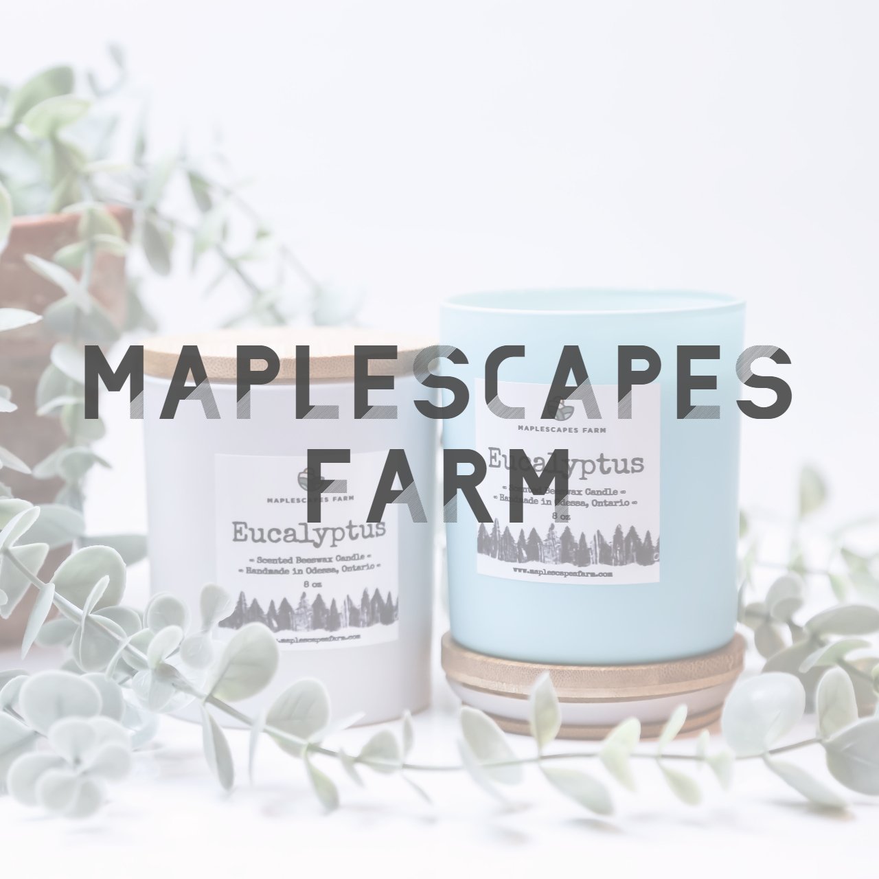 Maplescapes Farm.jpg