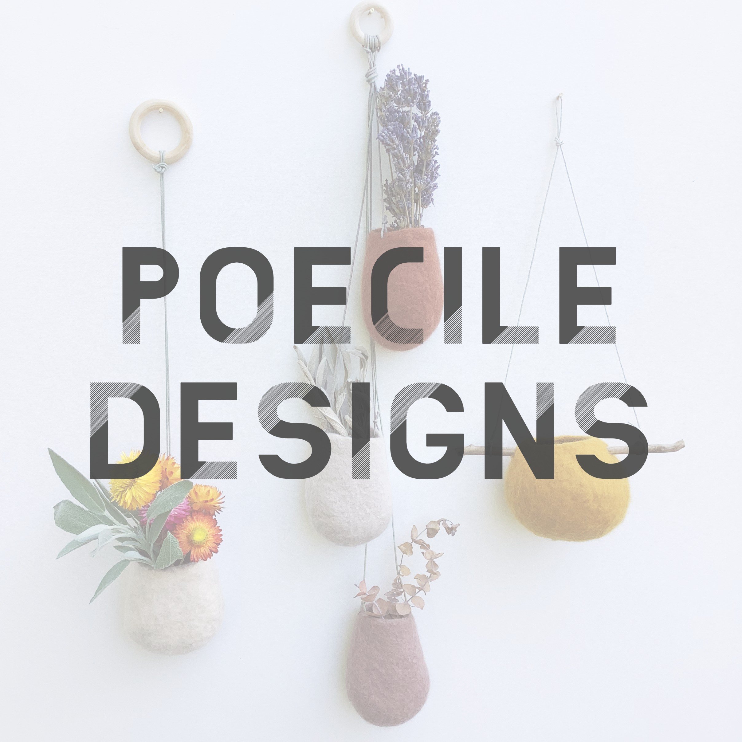 Poecile Designs.jpg