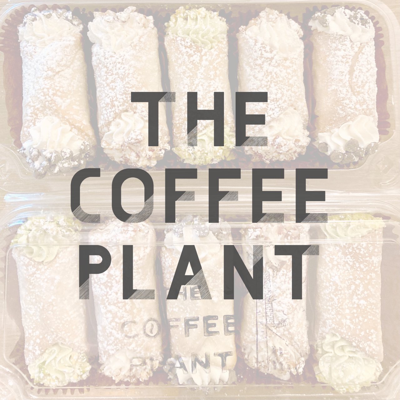 The Coffee Plant.jpg