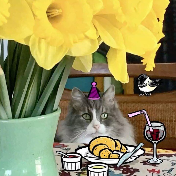 When I saw @naomishulman&rsquo;s photo of her cat sitting at the table, something looked off to me. Turns out that &ldquo;photo&rdquo; was a highly photoshopped screengrab from this original video! You can&rsquo;t hide the truth, Naomi!

P.S. - Thank