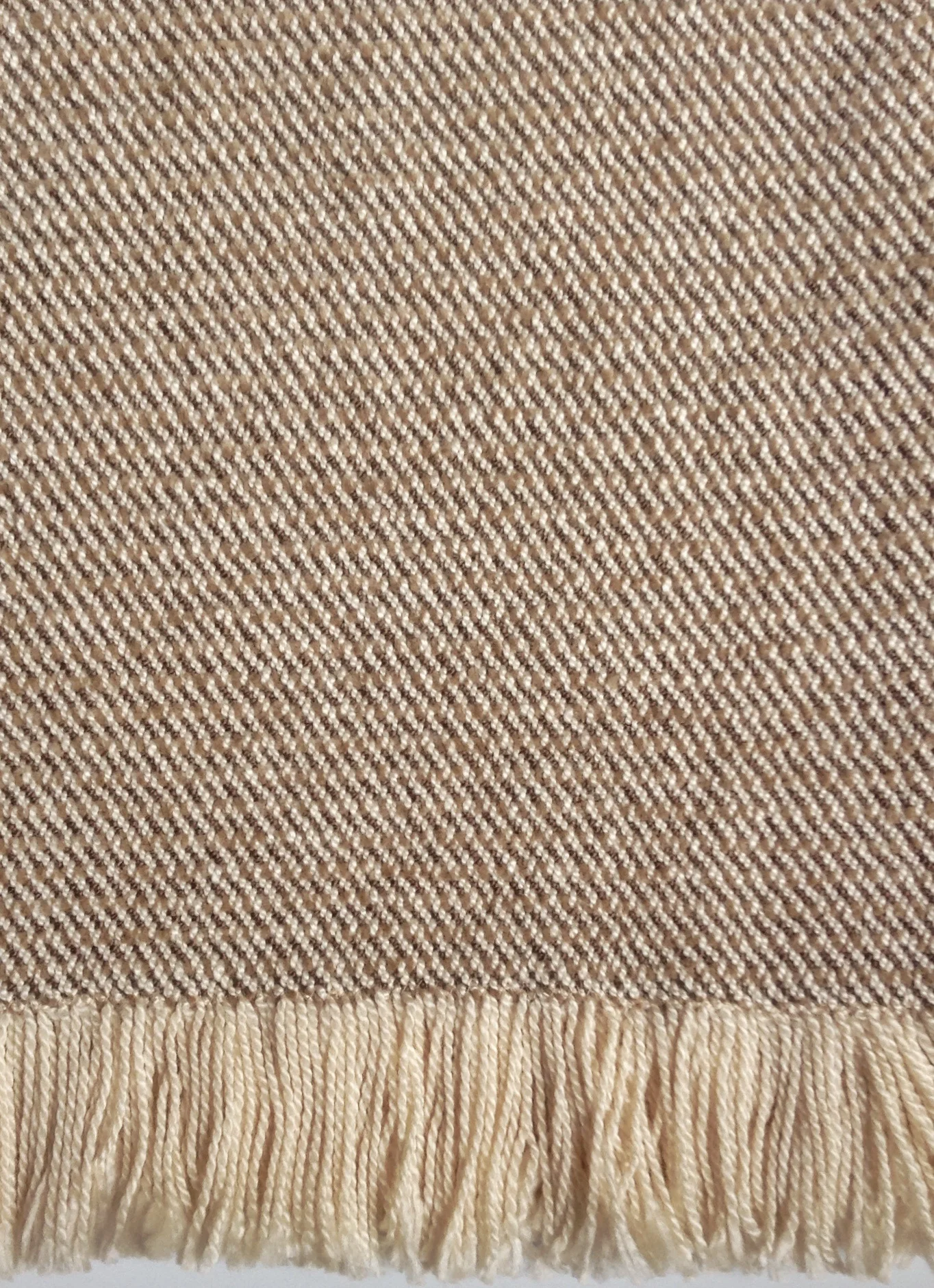 blanket 2.22222.jpg