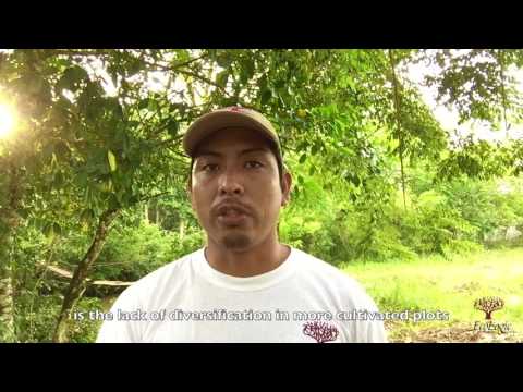 Antonio's Urgent Need