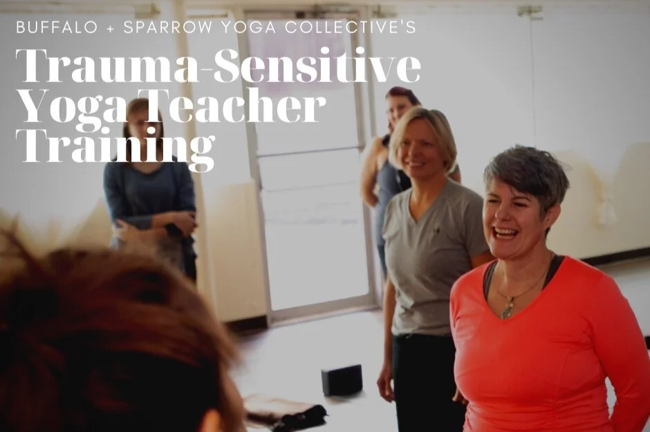 50 Hour Trauma-Sensitive Yoga Teacher Training Online