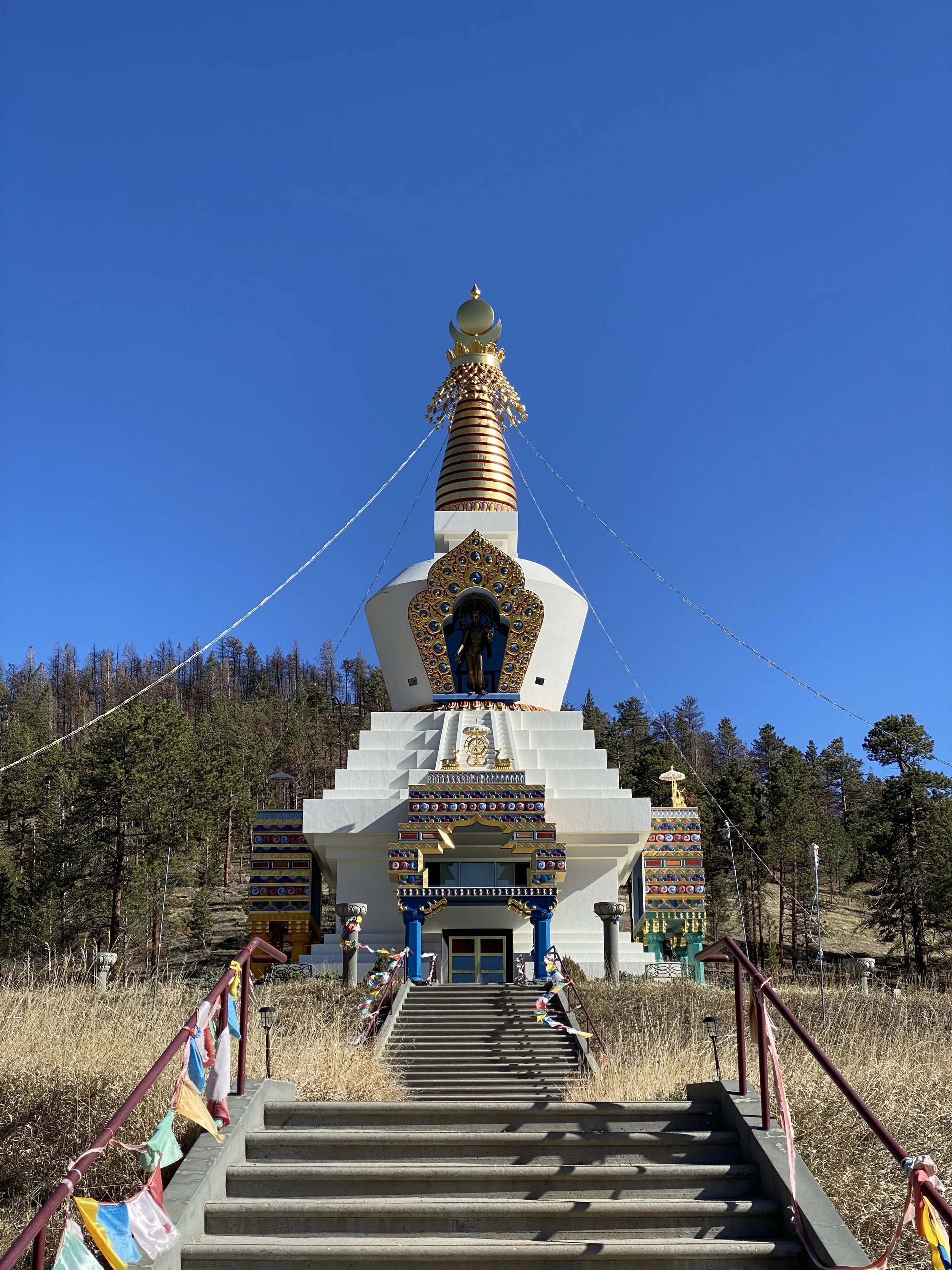 Slowing Down: A Yoga, Self-Care, and Loving-Kindness Retreat