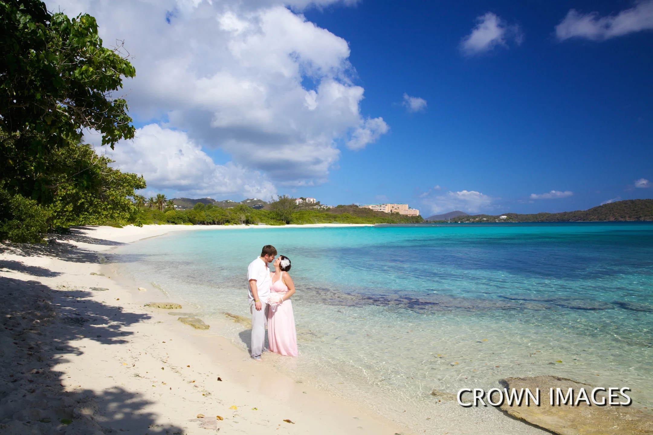 118_crown_images.jpg