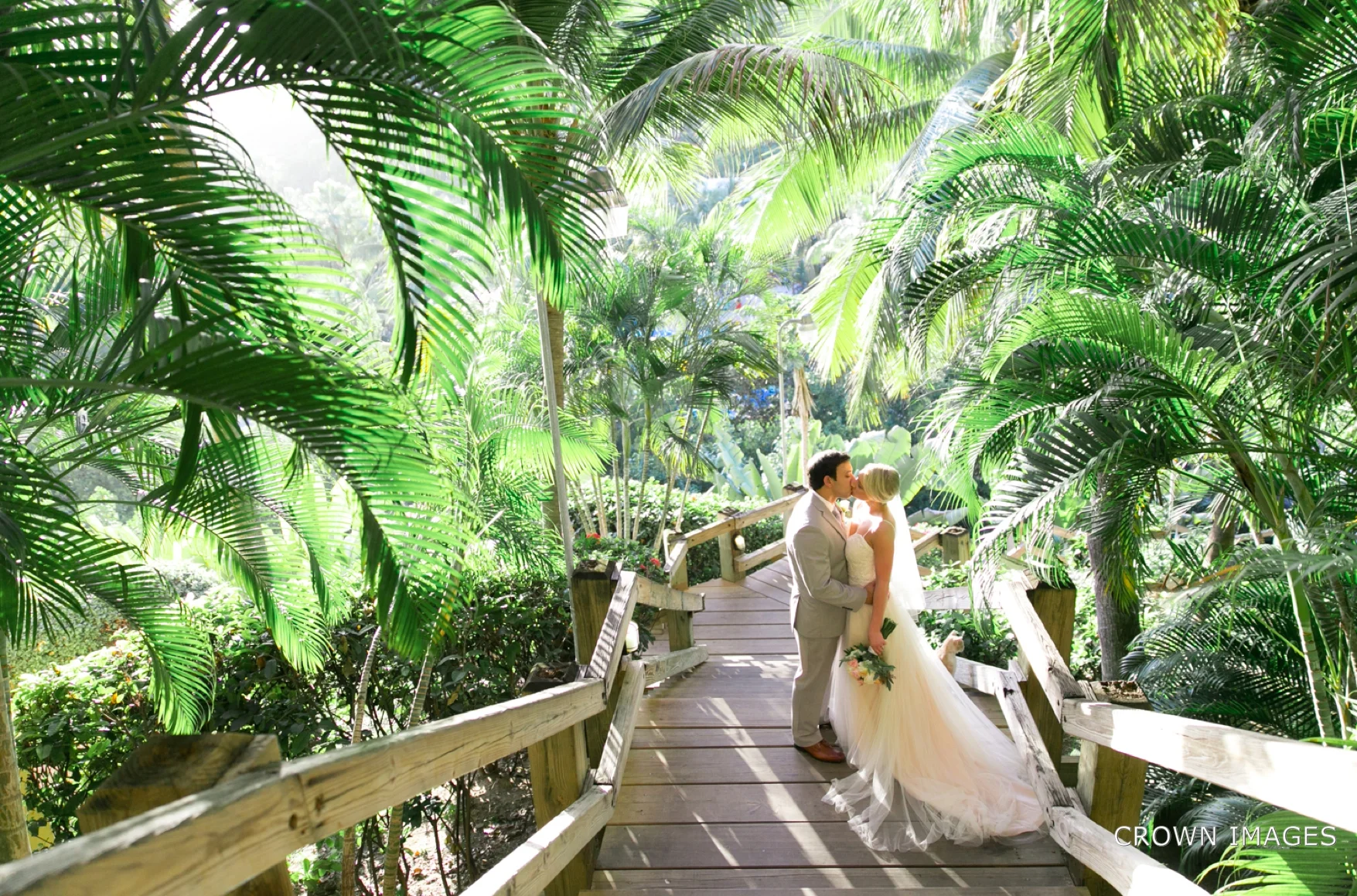 Virgin Islands Wedding Photographer