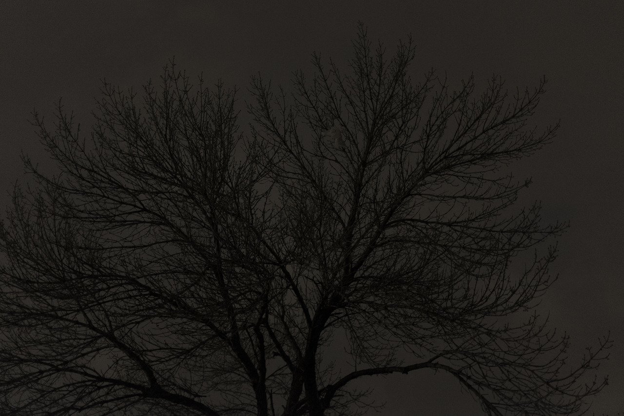 tumblr_ml7q7tiKMl1rrr7cxo1_1280.jpg