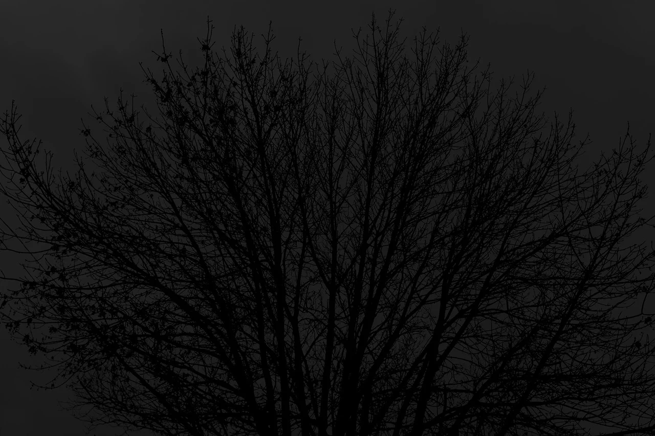 tumblr_ml65m7QhSE1rrr7cxo1_1280.jpg