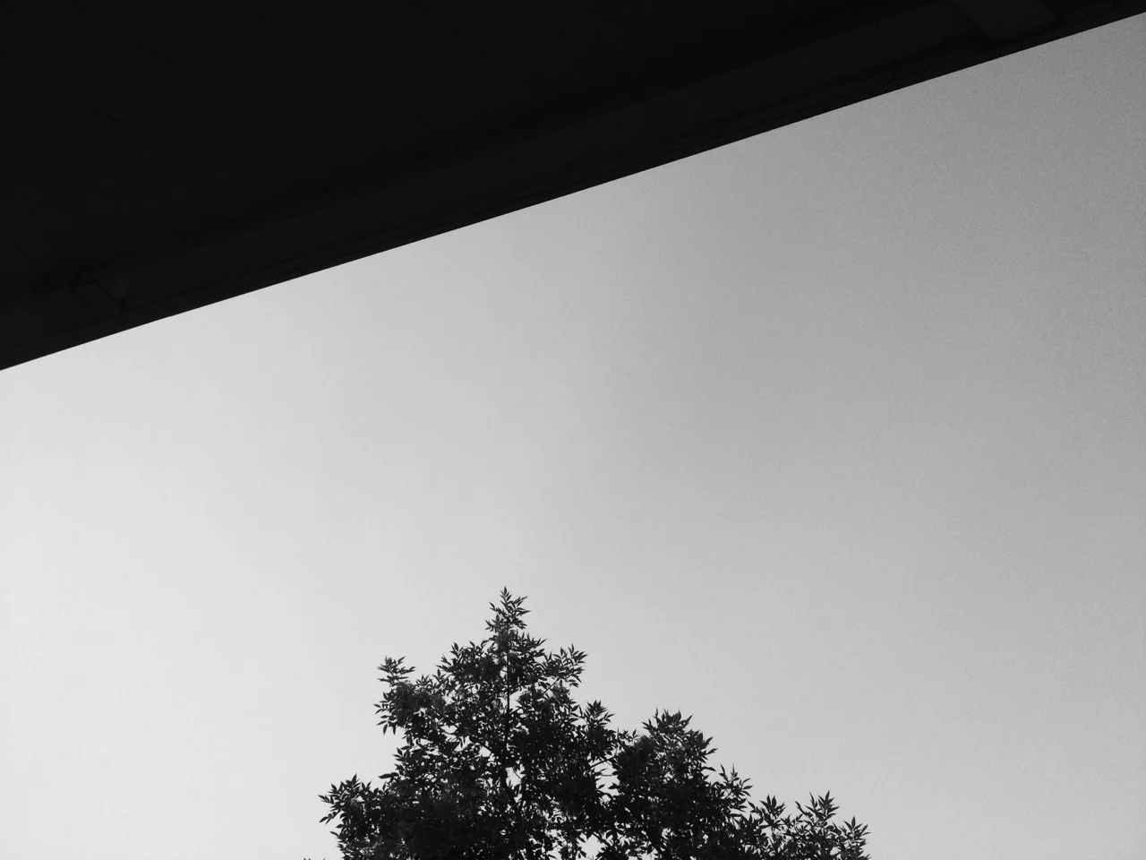 tumblr_mpael1EGig1rrr7cxo1_1280.jpg