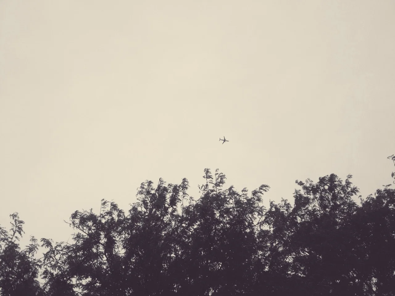 tumblr_mtgb65RM8O1rrr7cxo1_1280.jpg