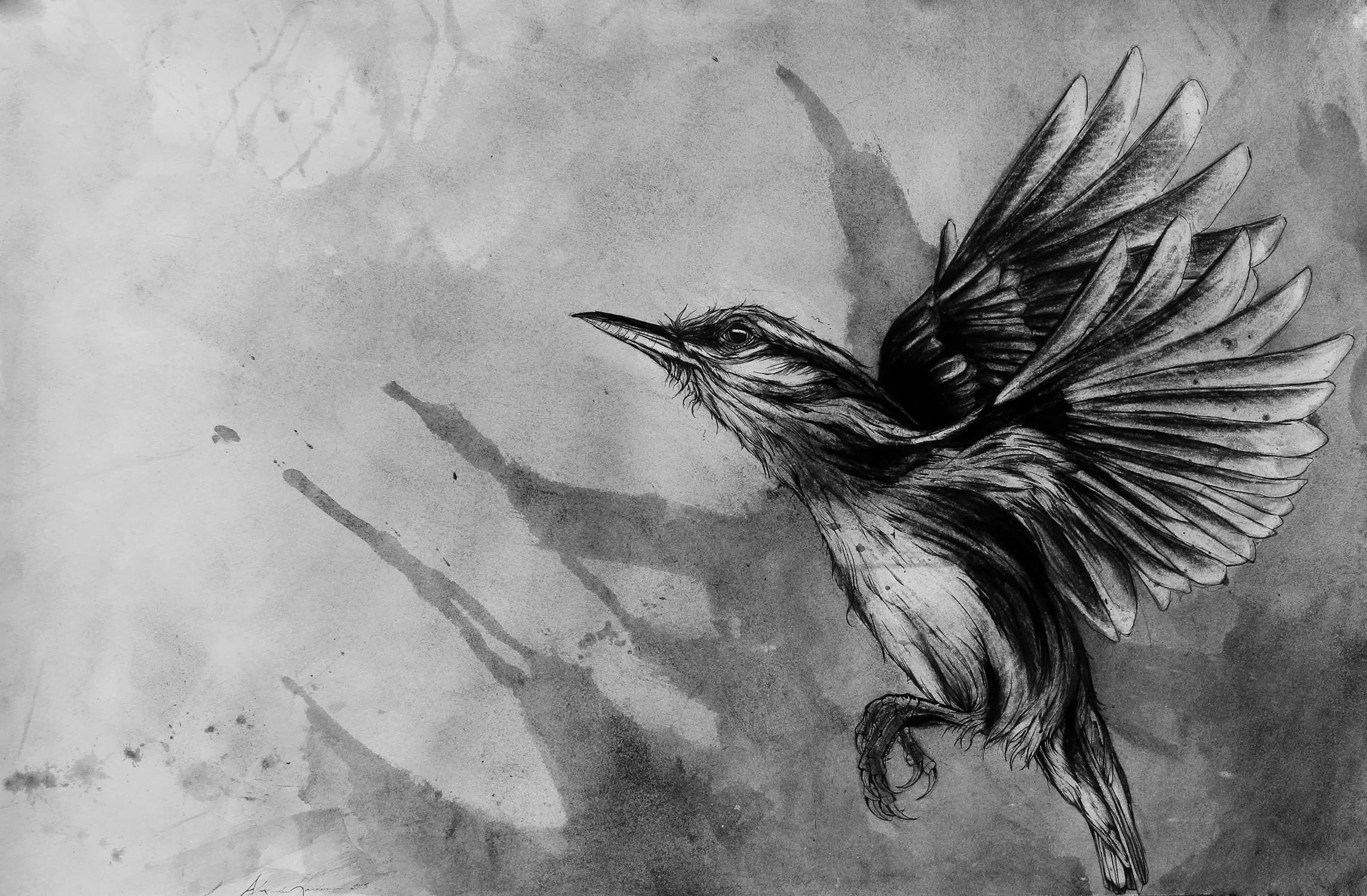 Bird1.jpg