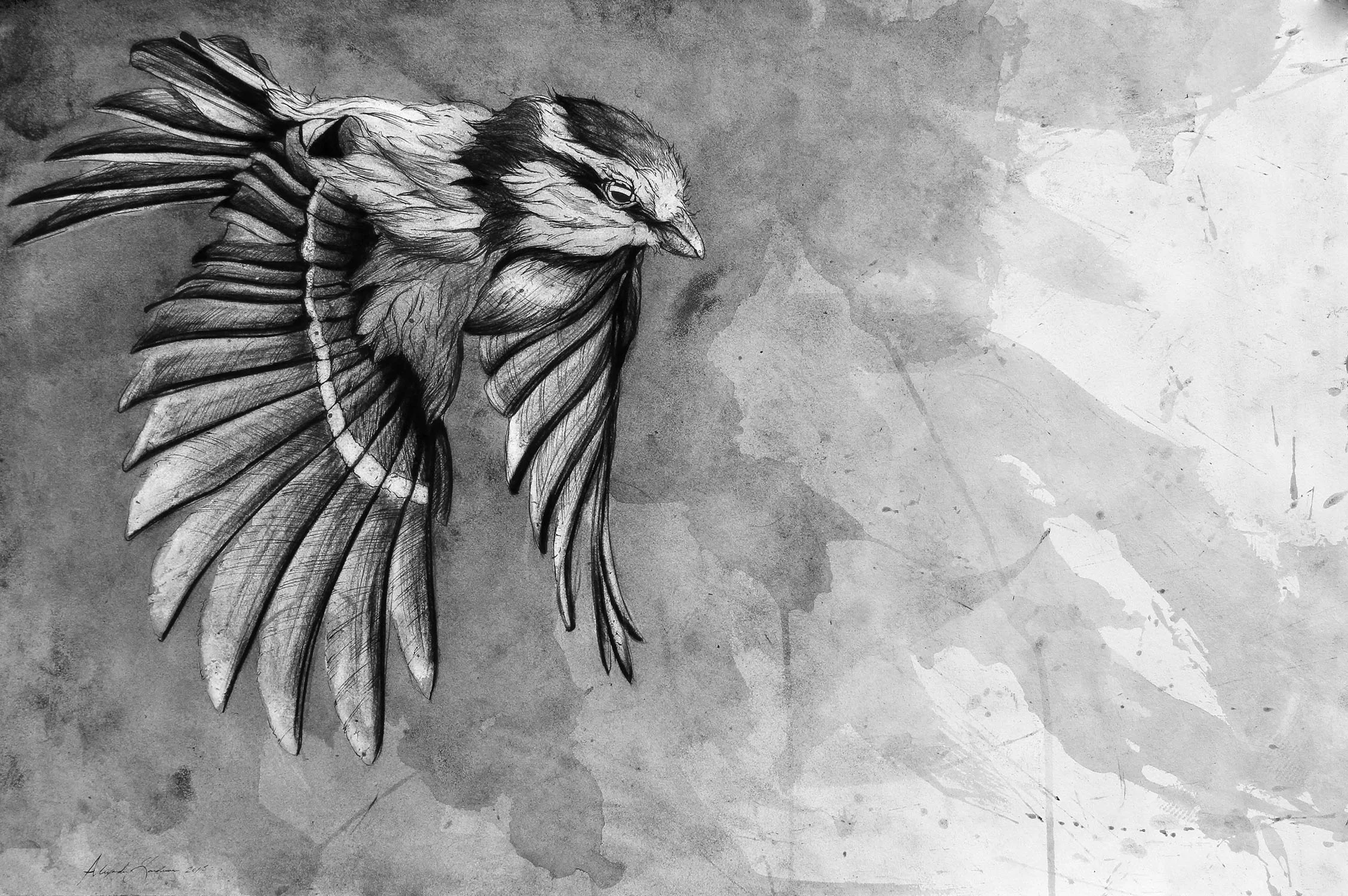 Bird8.jpg