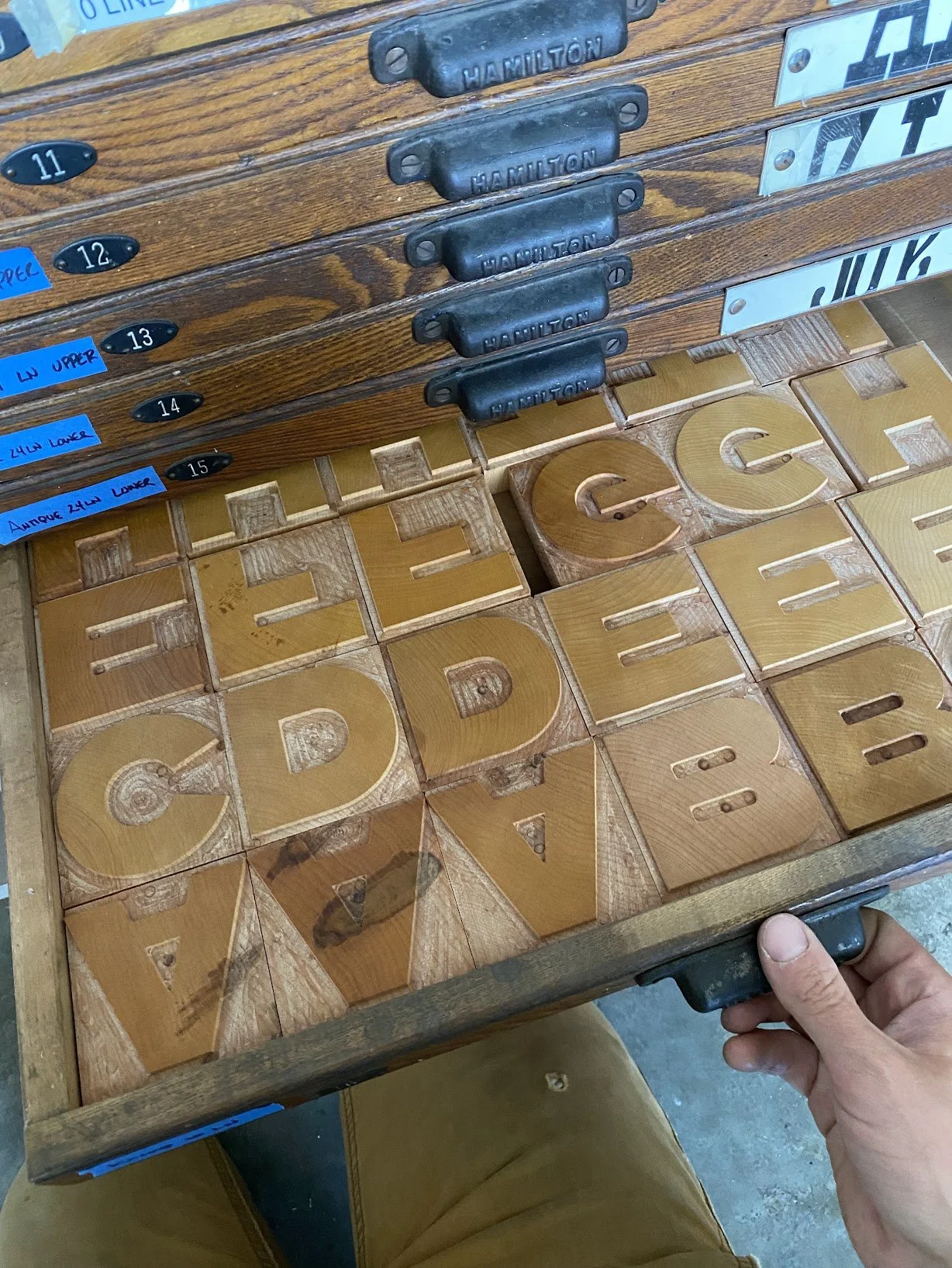 Wood type case containing Konop type used for letterpress printing