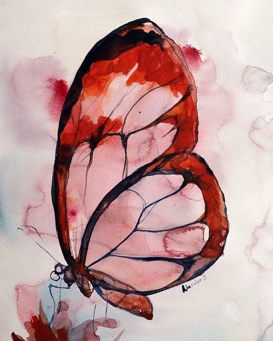 butterflywatercolor1Alisa Adamsone, Latvia..jpg