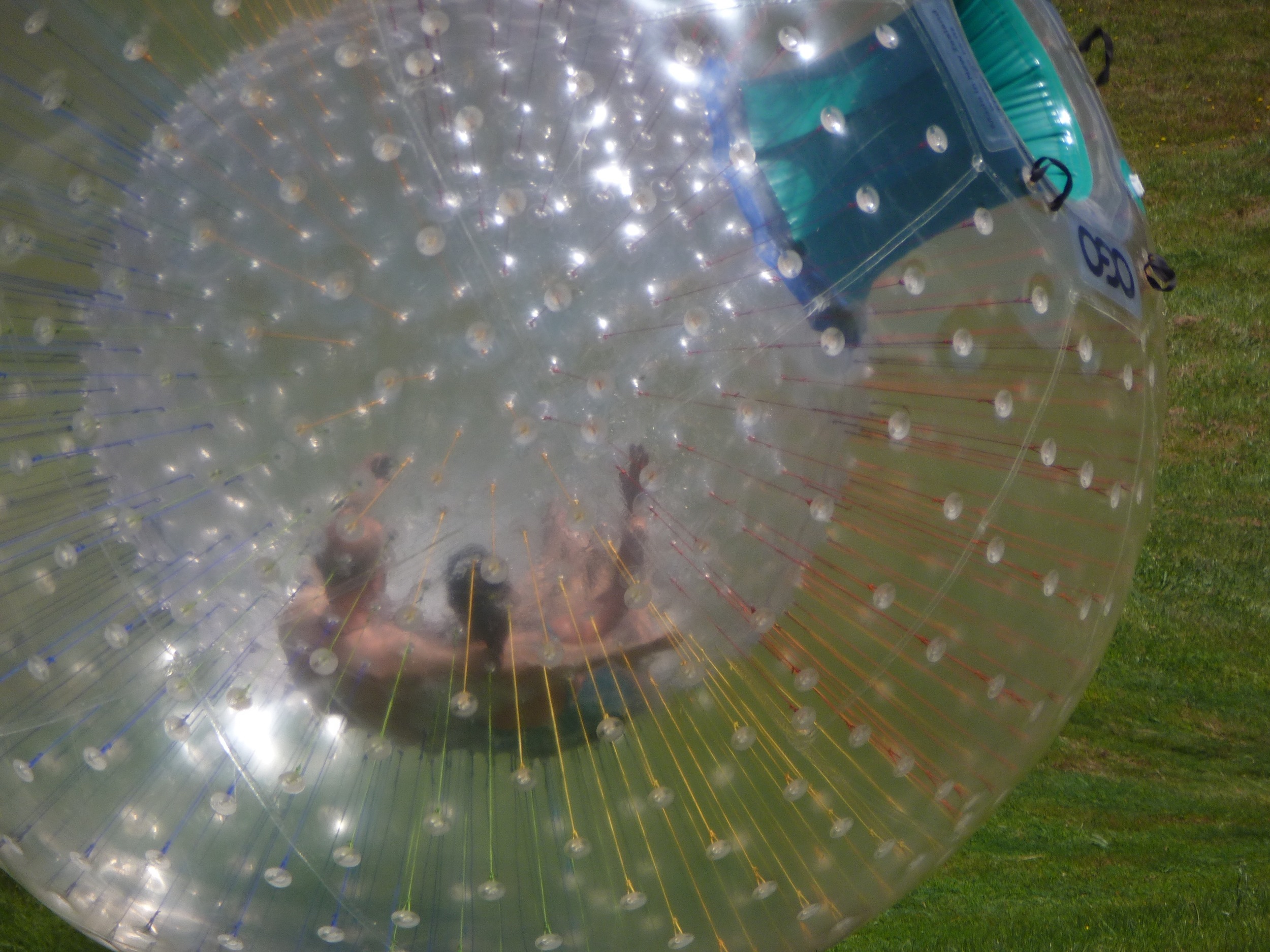 Zorbing.jpg