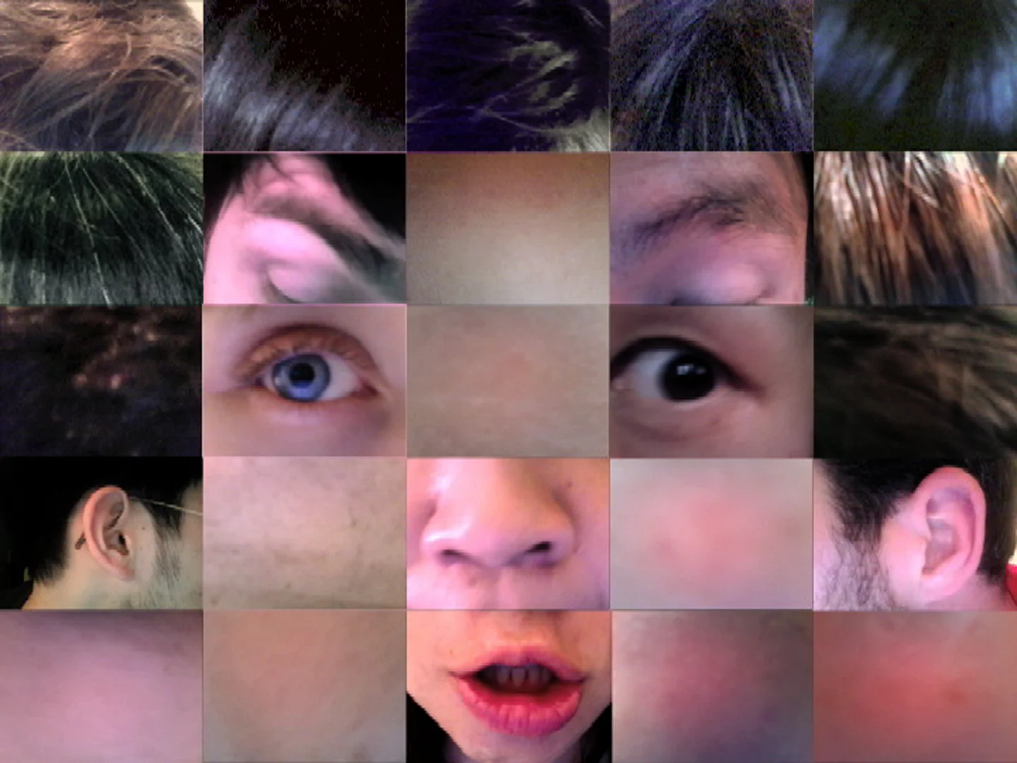 Who-Fu, "Hibi no Neiro" (2009-2016)