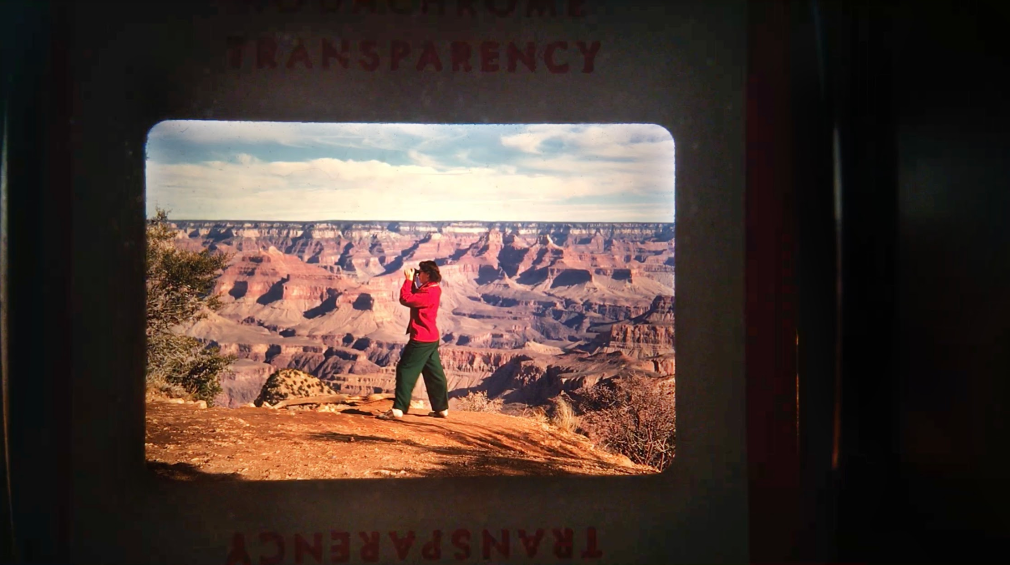 Heather M. O’Brien, "Where this photograph was found"
