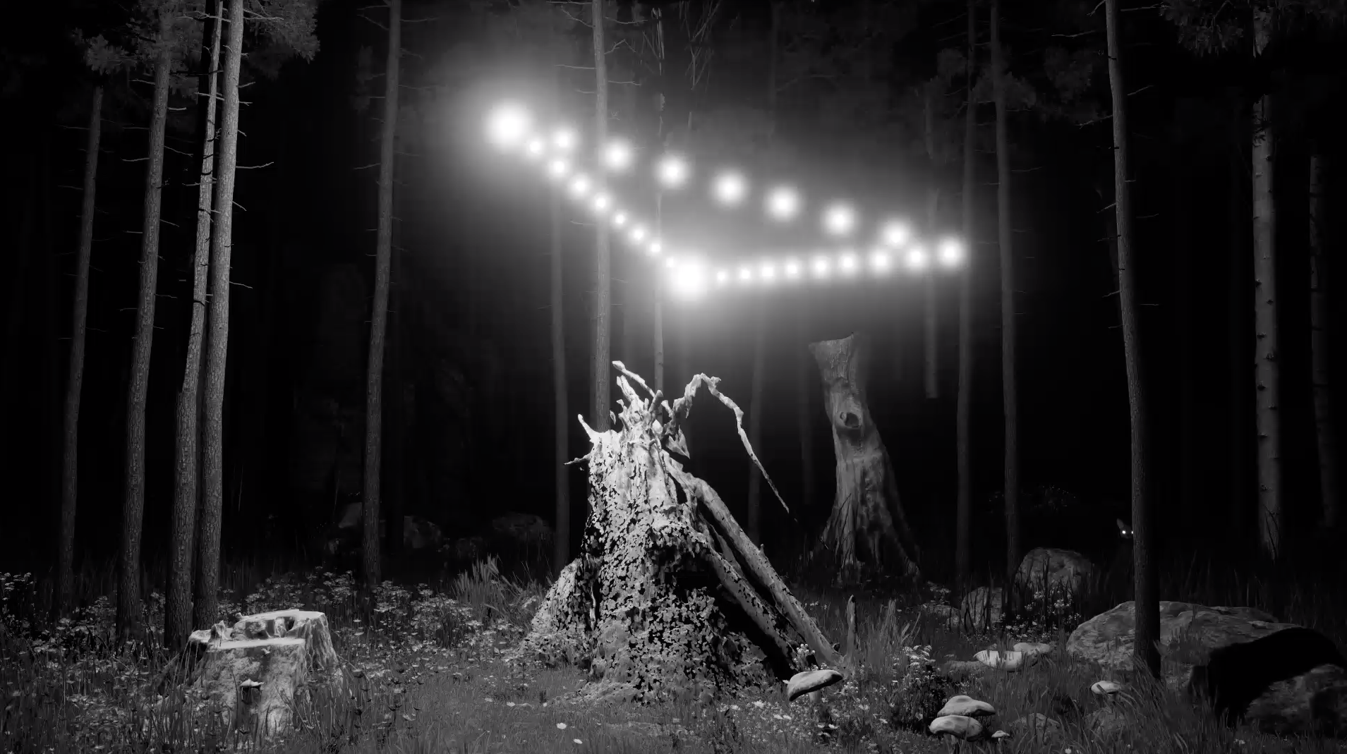 GABOR KITZINGER + ALEX HAMADEY, "DARK NIGHTS / BLACK CATS"