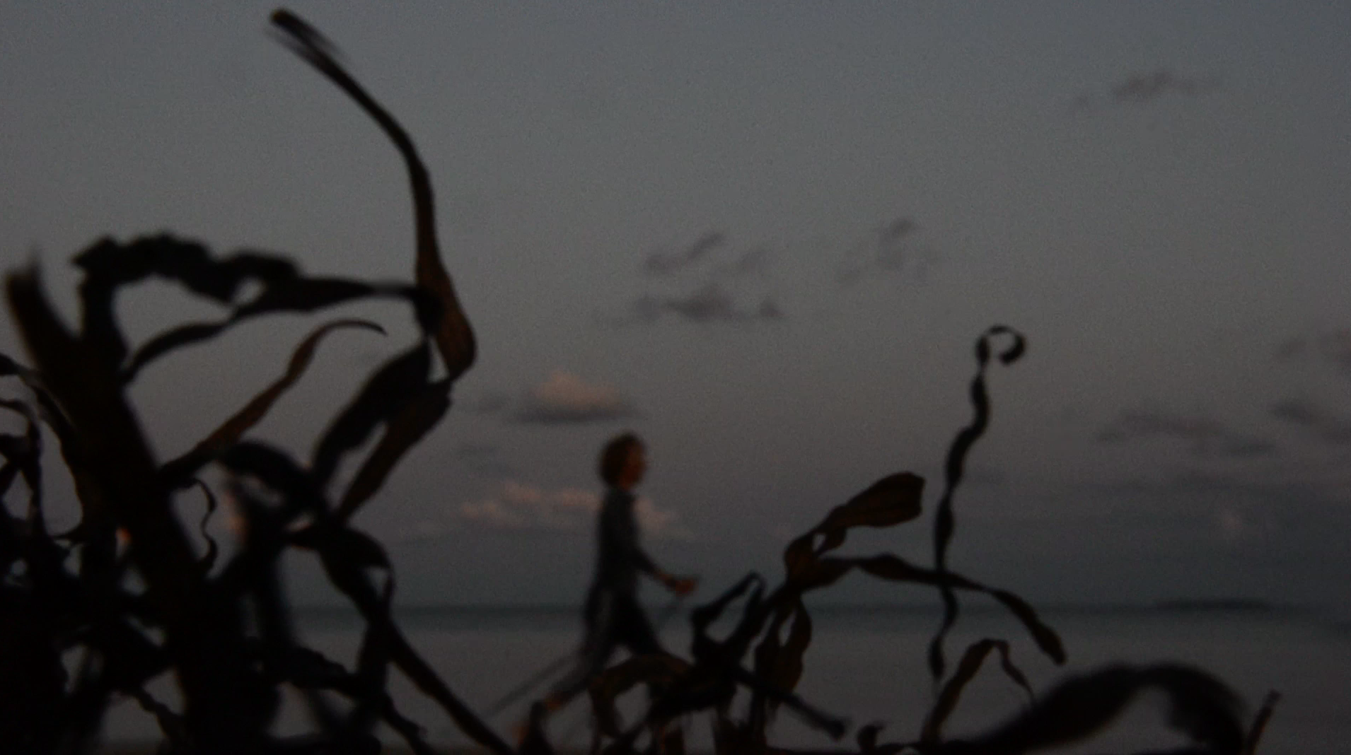 ANA BILANKOV + CARSTEN SCHNEIDER, "THREE WOMEN UNDER THE CLOUDS"