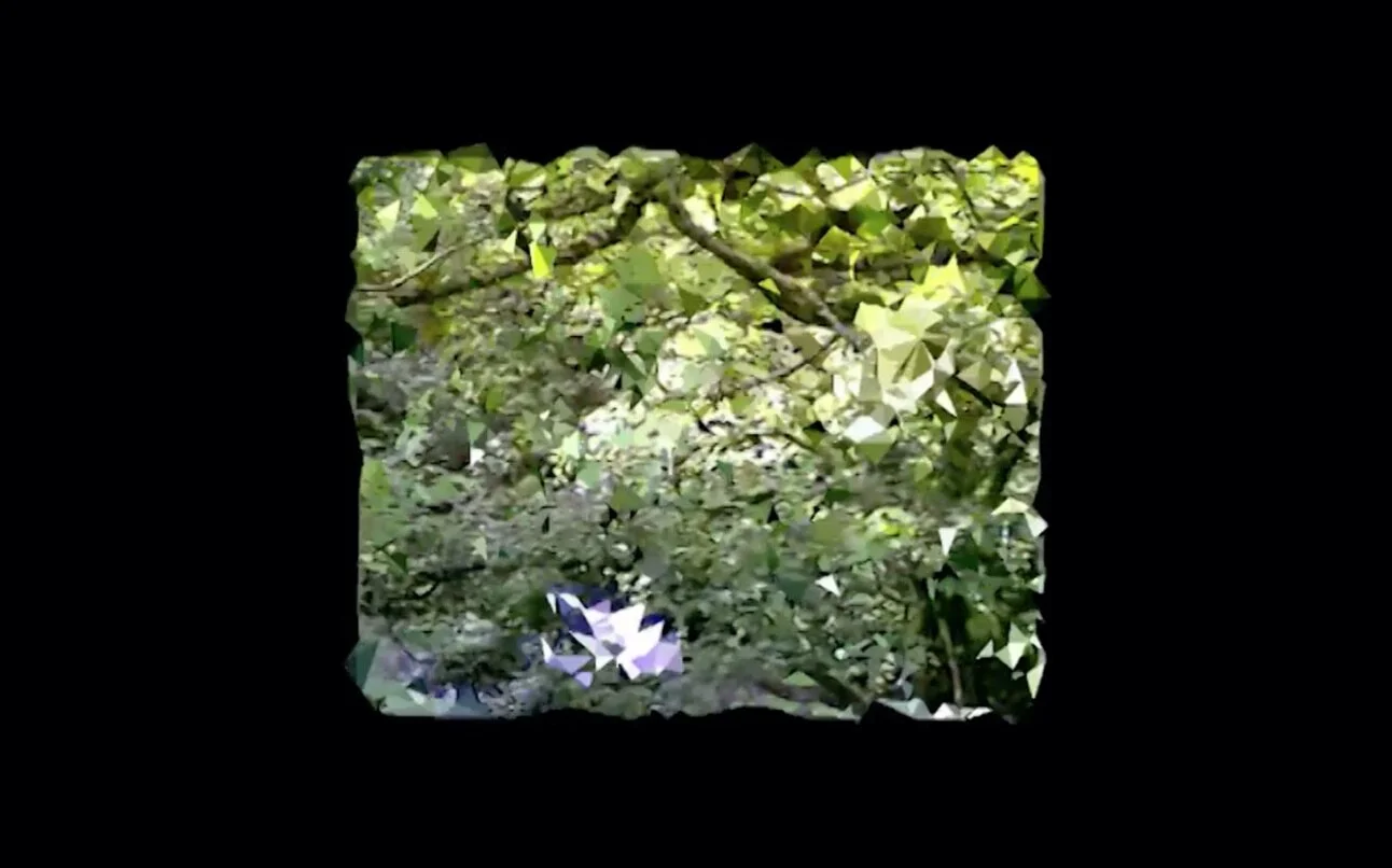 "Lake District Walk: Augmented Video Reality," by Mark Amerika