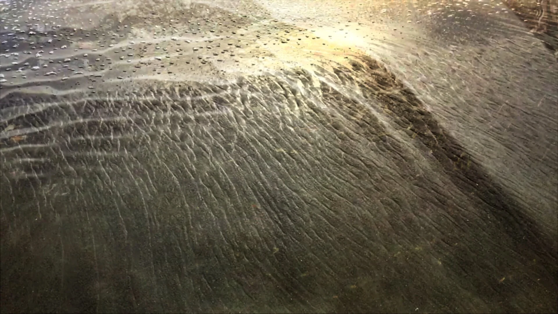 Jim Ellis - Water Spirits: (universal solvent) (Copy)