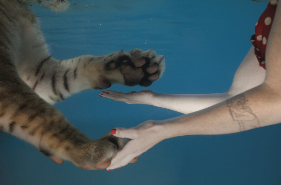 Jessica Segall - "Un-common Intimacy"