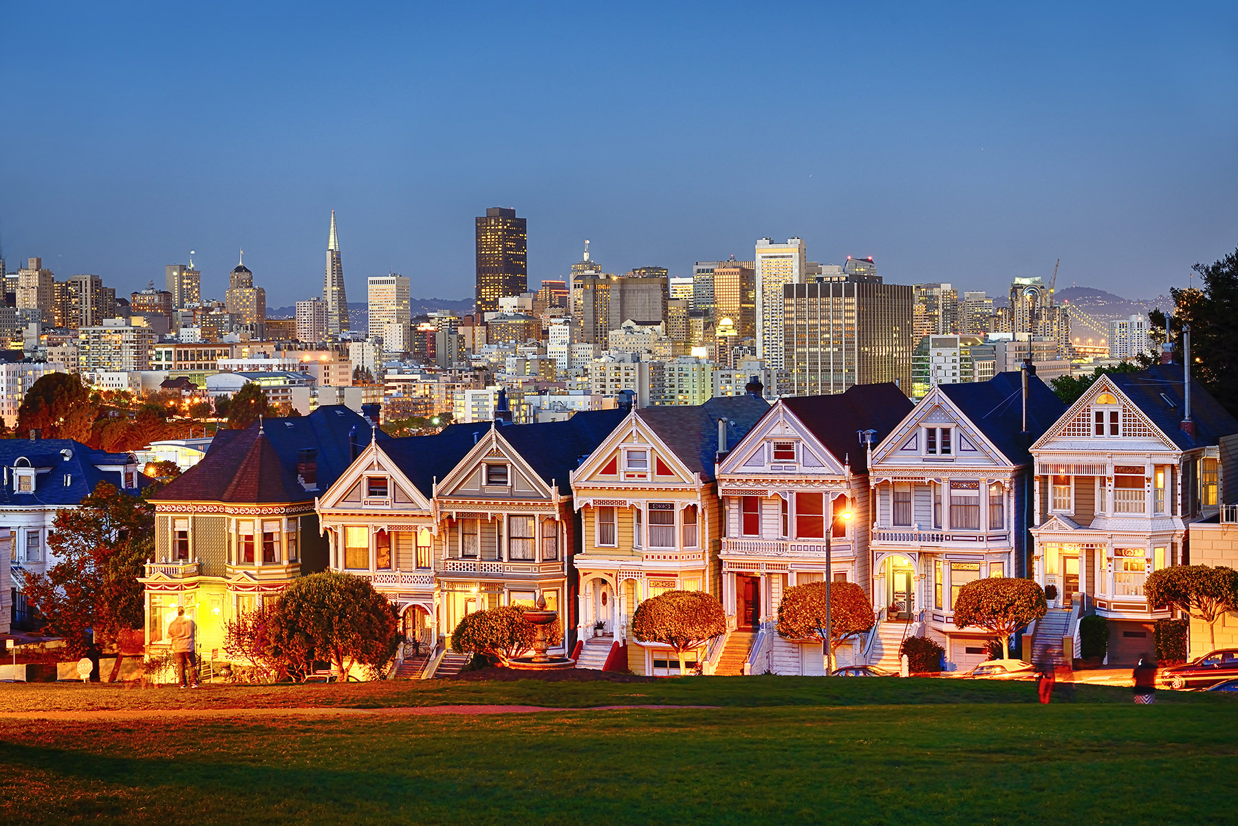 Painted_Ladies_SF.jpg