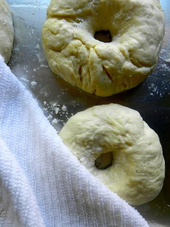 ny bagels