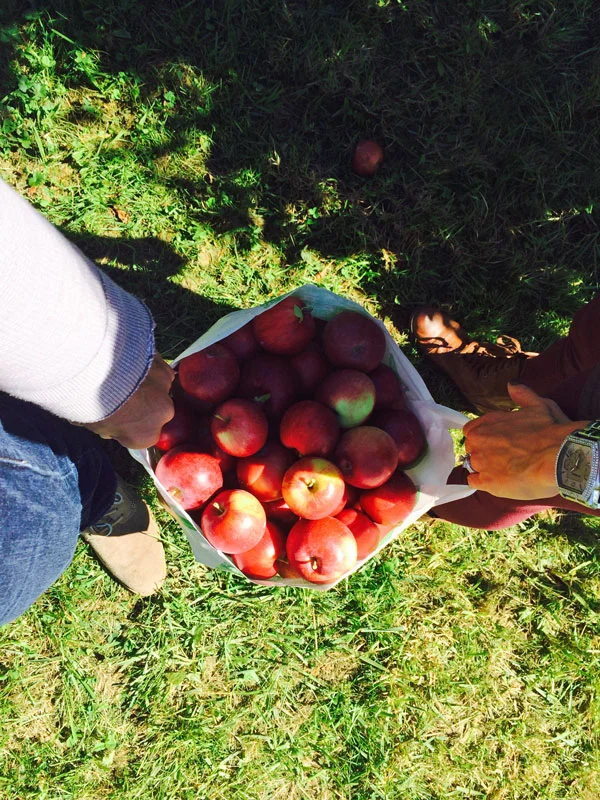 Apple-Bag.jpg