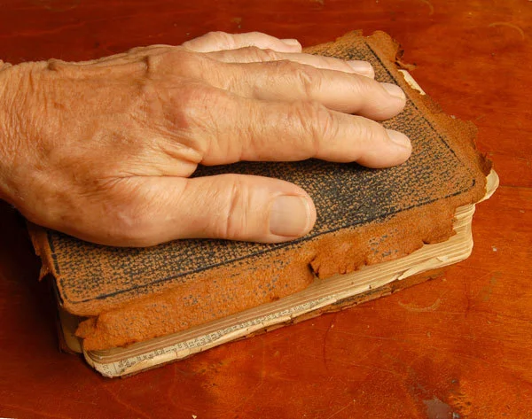 Bible.jpg