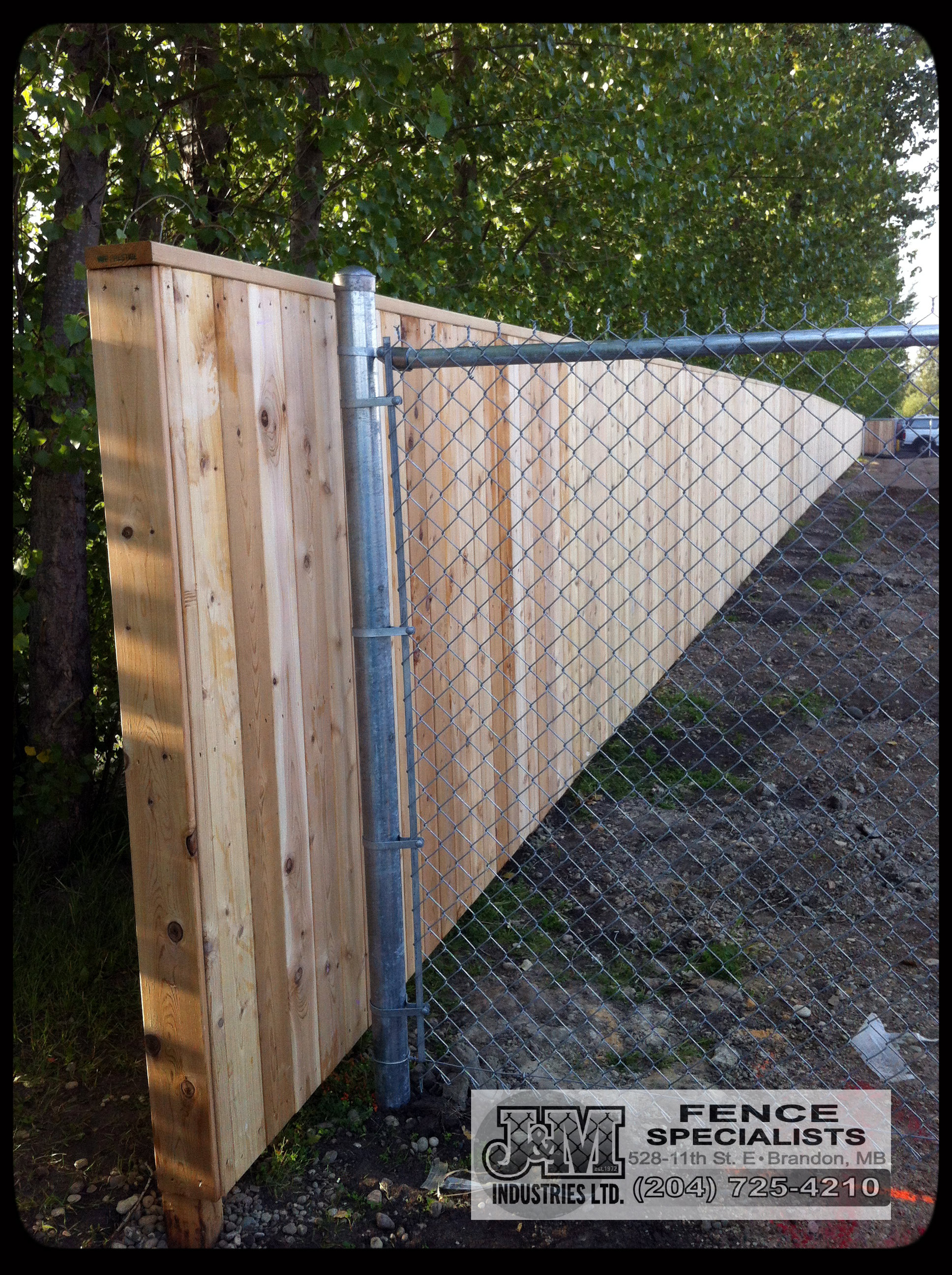 cedar fence2.jpg