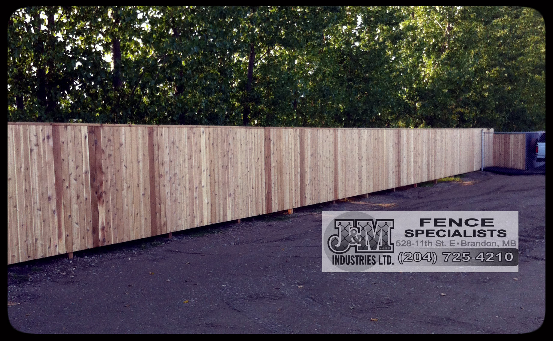 cedar fence3.jpg