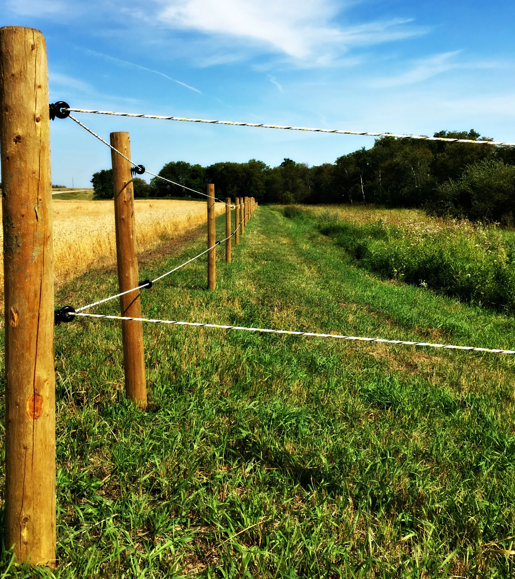 electric fence3.jpg