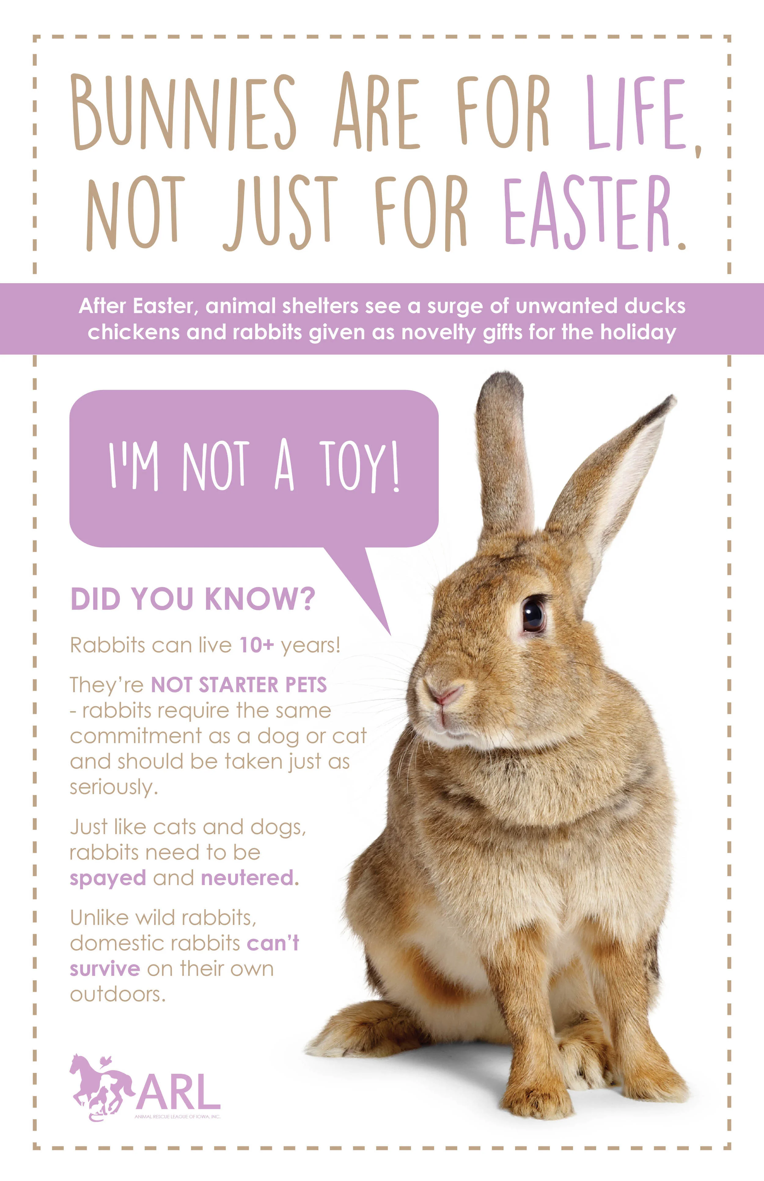 Bunnies Are For Life, Not Just For Easter