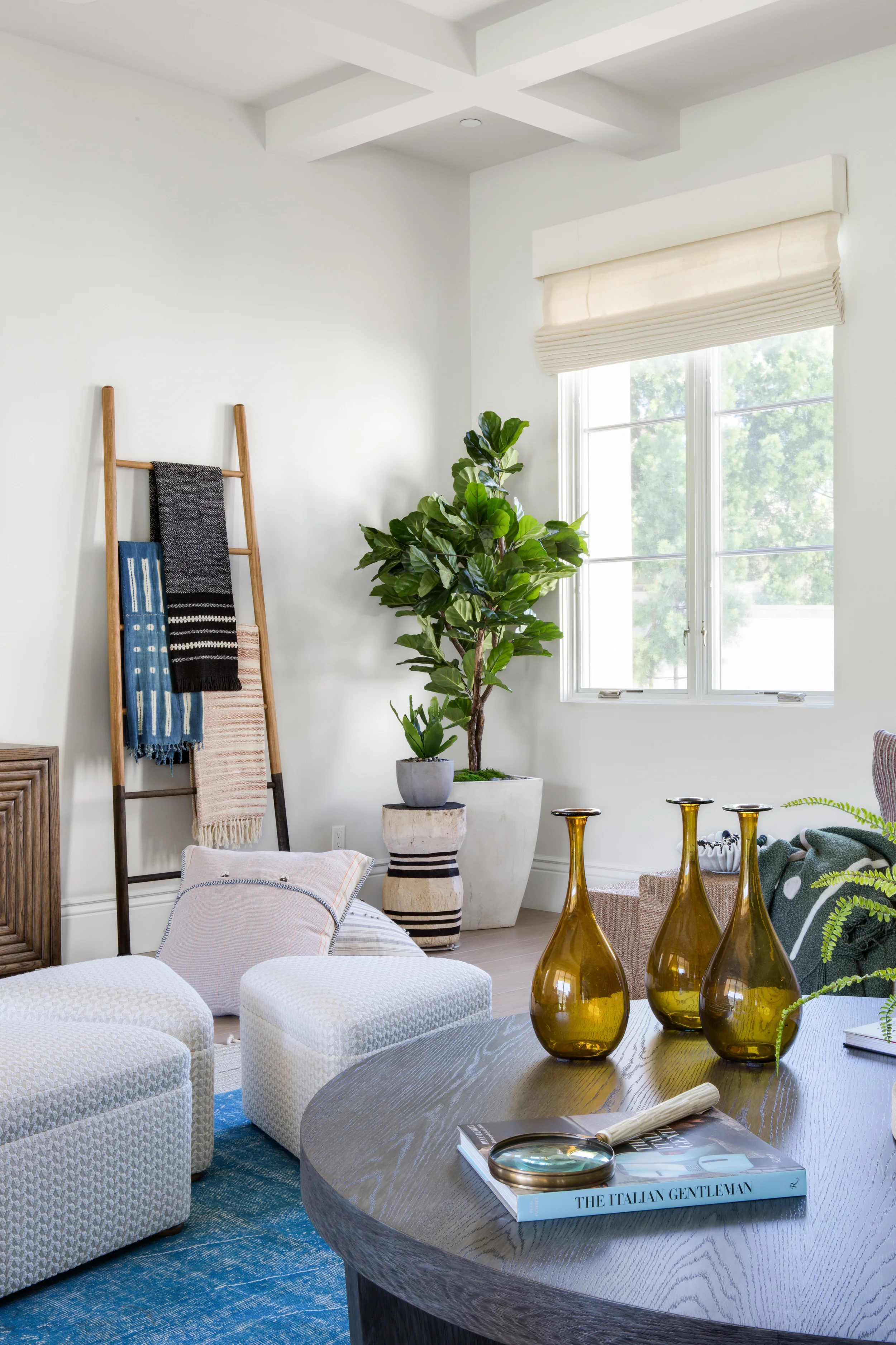 Denise Morrison Interiors_Shes A Super Chic_5480_HDR.jpg