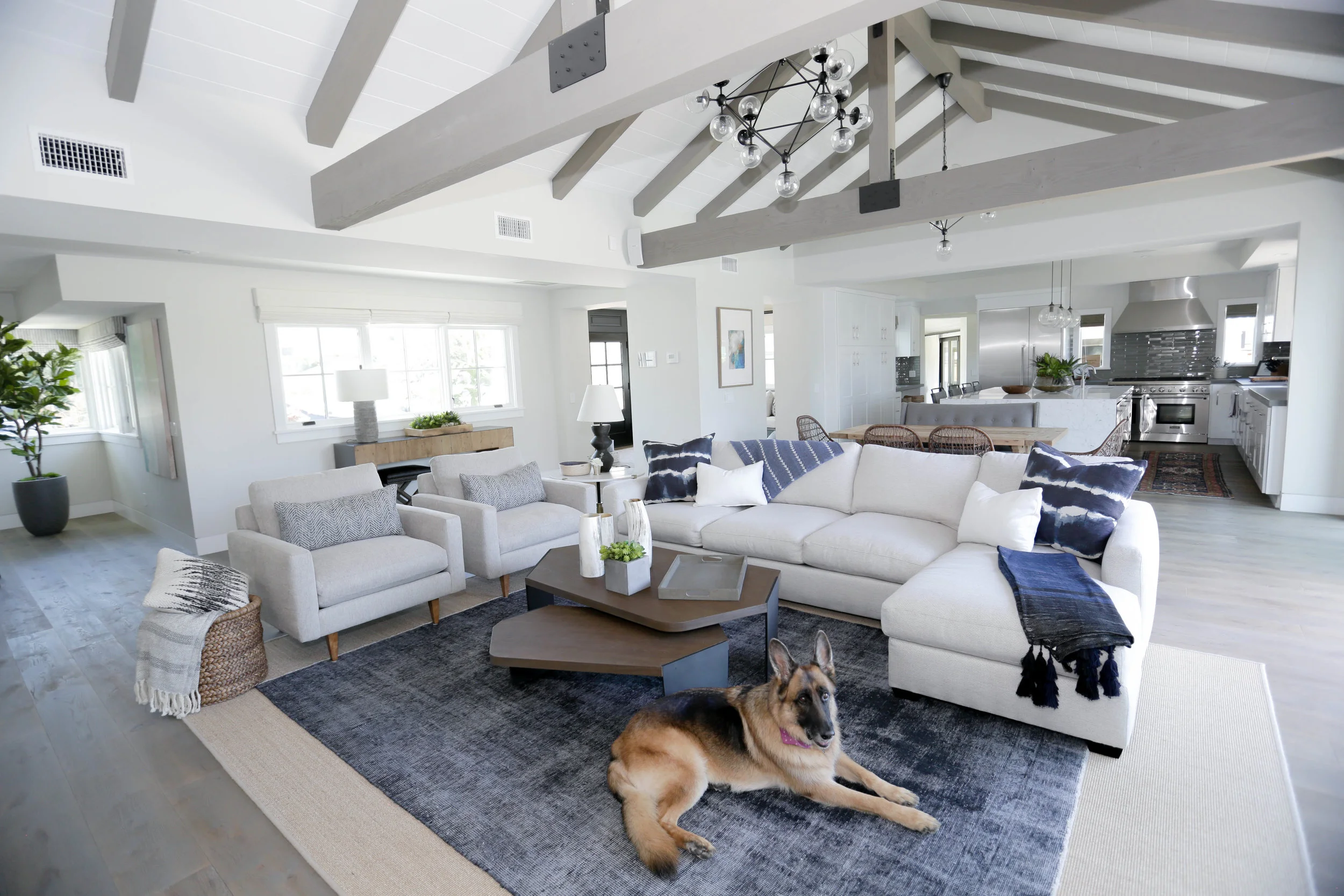 Denise Morrison Interiors_Newport Beach Interior Design_9438.jpg