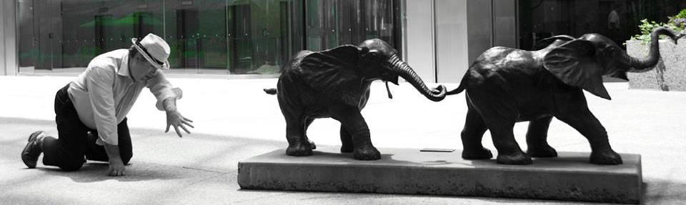 elephant home-2.jpg