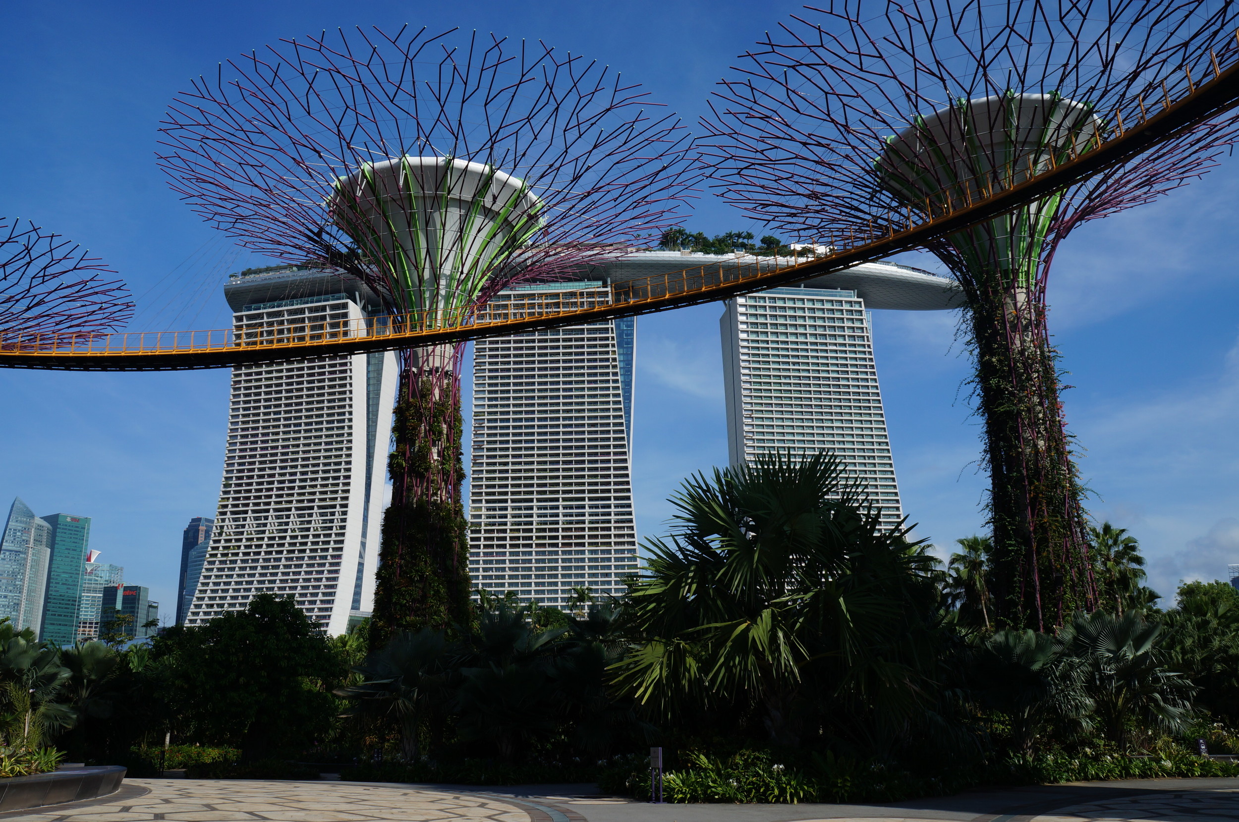 Singapore: Gardens by the Bay (Wilkinson Eyre) foreground, Marina Bay (Moshe Safdie) background