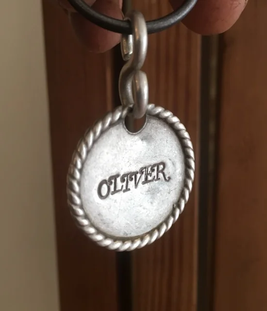 Ollietag1.JPG
