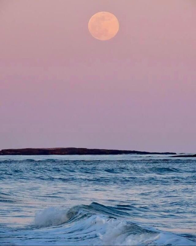 Unleash your heart, illuminate your passion, liberate your spirit - Aprils pink super moon 2020- the brightest moon of@the year!  Free your self of all that does not serve.  Untethered soul is what you deserve.  Blessings and love to you #full moon #