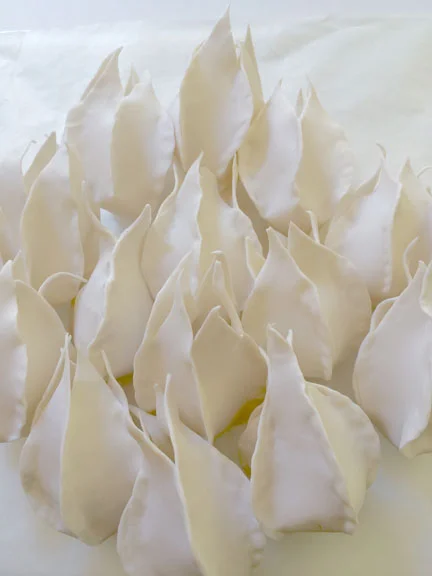Porcelain Pods