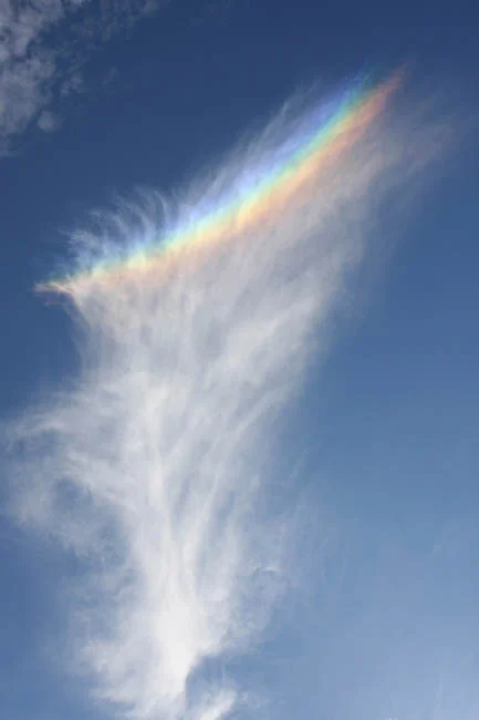 Figure 2. A sundog formed by sunlight striking ice crystals. Photo by Wade Bell. Courtesy of the National Weather Service. ( Source Link ).