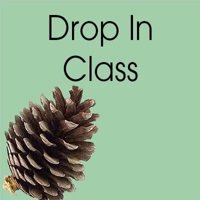 DropInClass.jpg