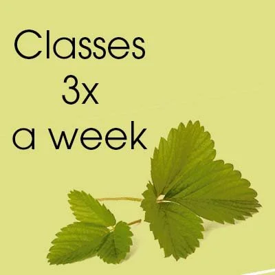 Classes three times a week